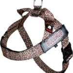 BULLHUG Adjustable Dog Harness No Pull, No Choke  for English Bulldogs, French Bulldogs, Pugs & Broad-Chested Breeds  Easy, Safe Walks (Leopard, Small)
