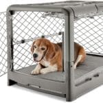 DIGGS Revol Collapsible Dog Crate with Wheels - Premium Portable Dog Crate - Safe, Stylish, and Convenient Indoor Kennel (Smoke, Medium)