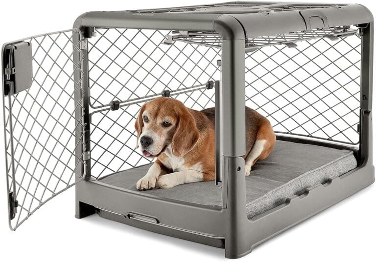 DIGGS Revol Collapsible Dog Crate with Wheels - Premium Portable Dog Crate - Safe, Stylish, and Convenient Indoor Kennel (Smoke, Medium)