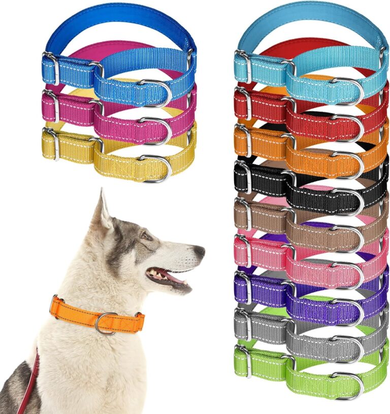 12 Pcs Martingale Collar for Medium Dogs Adjustable Pet Training Collar Reflective Dog Collar with Durable Metal Buckle Heavy Duty Nylon No Pull Martingale Collar for Small Medium Large Dogs, Medium