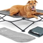 Coolaroo On-The-Go Elevated Dog Bed Kit  Portable & Cooling Travel Cot with HeatShield Fabric for Large Dogs, Lightweight & Compact, Includes Matching Carry Bag & Pacific Blue Bonus Cover, Large