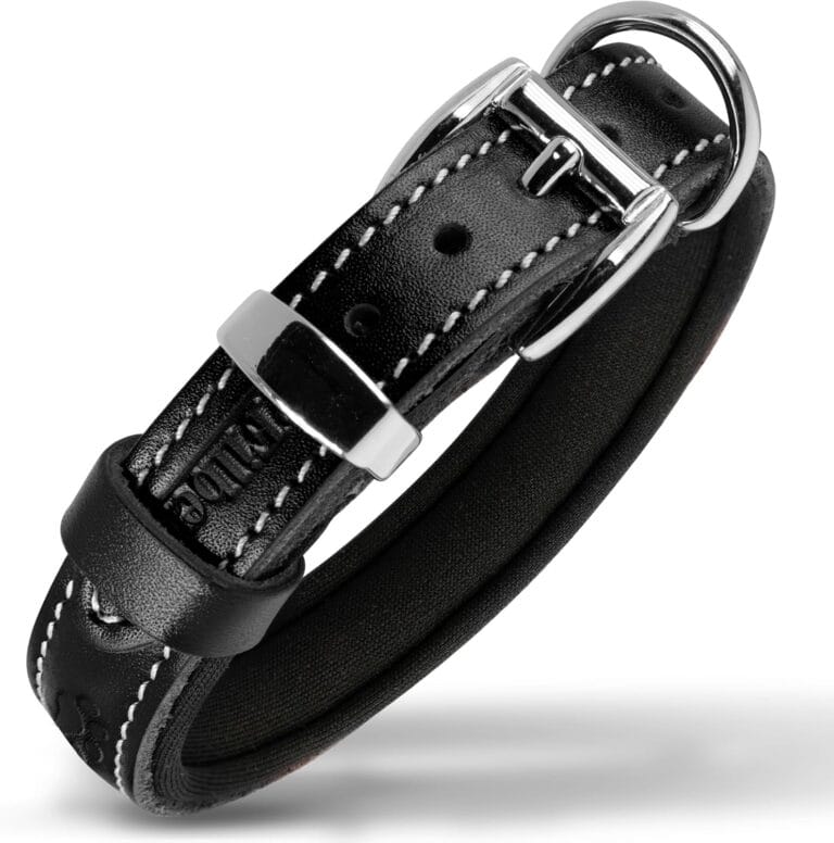 Filbert Leather Dog Collar, Genuine Leather Collar for Small Dogs, Pawprint Embossed with Buckle, Top-Notch Quality Vegetable-Tanned Full Grain, Strong, Adjustable, Heavy Metal Buckle, Black