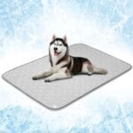 PetAmi Waterproof Cooling Mat for Dog, Premium Pet Cooling Blanket for Bed Crate, Anti Slip Indoor Dog Cool Pad for Sleeping, Q-MAX Large Sofa Couch Cover Mat for Cat, Light Grey, 60x80