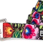 Lucky Love Dog Leash, Beautiful Vivid Patterns, Durable & Long Lasting (Blackbird, Large)