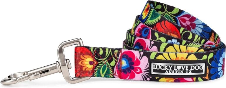Lucky Love Dog Leash, Beautiful Vivid Patterns, Durable & Long Lasting (Blackbird, Large)
