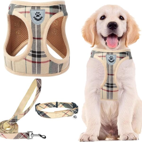 PUPTECK Adjustable Pet Harness Collar &Leash Set Step in for Small Dogs Puppy &Cats Outdoor Training &Running, Soft Mesh Padded Reflective Vest Harness,M: Chest girth: 16-18in Collar: 11.8-15.7in