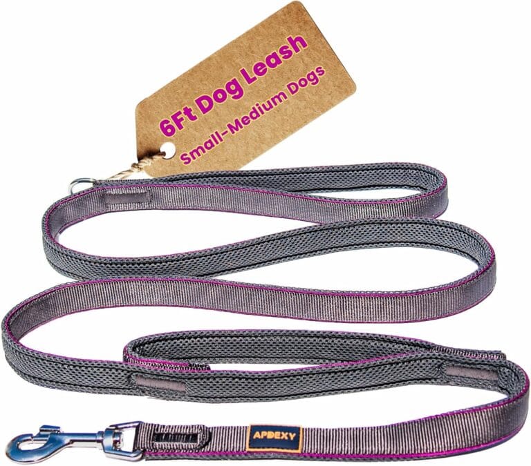 Heavy Duty Two Handle Dog Leash, Double Handles for Extral Control and Training, Dual Handles Leads, 6FT Long, Large Medium Small Dogs (Purple/Grey, 3/4'' X 6ft.)