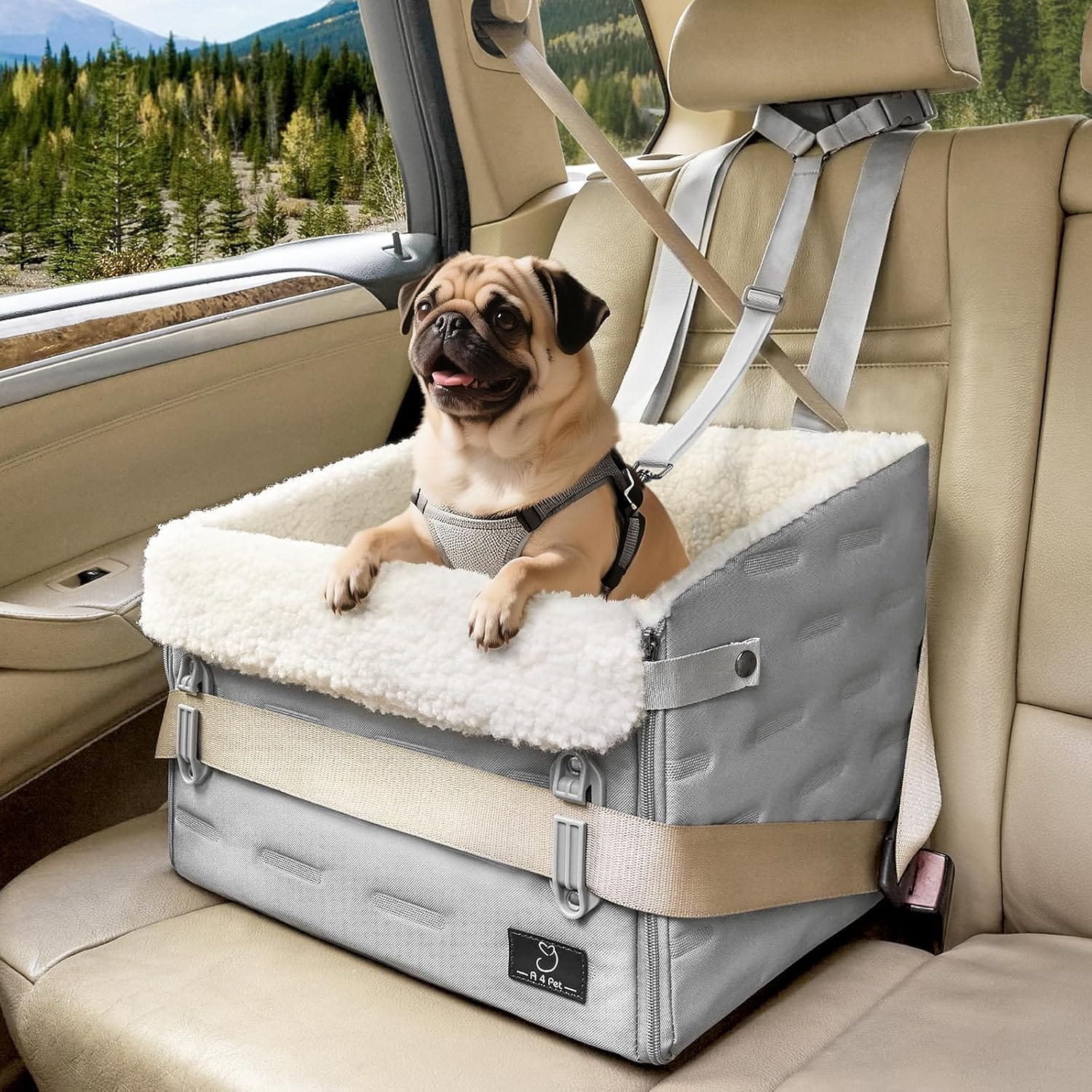 A 4 Pet Dog Car Seats for Small/Medium Dogs, Booster Car Seat with Easy-to-Install Patented Safety Buckle, Pet Seat mit Safety Leash for Dogs Under 35 Lbs A 4 Pet Dog Car Seats for Small/Medium Dogs, Booster Car Seat with Easy-to-Install Patented Safety Buckle, Pet Seat mit Safety Leash for Dogs Under 35 Lbs
