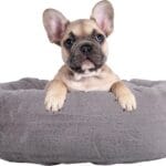 PETMAKER Dog Bed - Donut Pet Bed for Small Dogs - Dog Bed with Removable Washable Cover and Anti-Slip Bottom - Puppy Essentials (Gray)