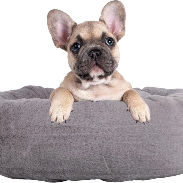 PETMAKER Dog Bed - Donut Pet Bed for Small Dogs - Dog Bed with Removable Washable Cover and Anti-Slip Bottom - Puppy Essentials (Gray)