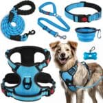 No Pull Dog Harness, Collar & Leash Set | Includes Dog Seat Belt, Collapsible Bowls & Poop Bag Dispenser. Ideal for Training, Walking, Hiking. Fits Small to Large Dogs(Blue-L)