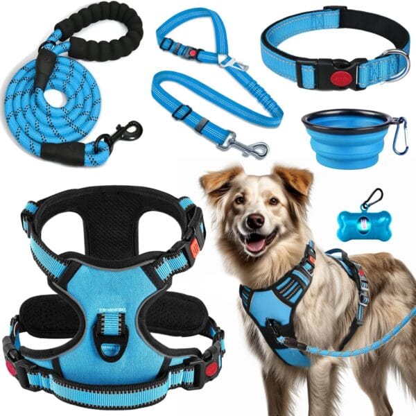 No Pull Dog Harness, Collar & Leash Set | Includes Dog Seat Belt, Collapsible Bowls & Poop Bag Dispenser. Ideal for Training, Walking, Hiking. Fits Small to Large Dogs(Blue-L)