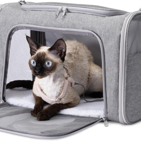 Amazon Basics Soft Cat & Dog Carrier with Adjustable Shoulder Strap, Airline-Approved, Foldable and Portable Design, Mesh Ventilation