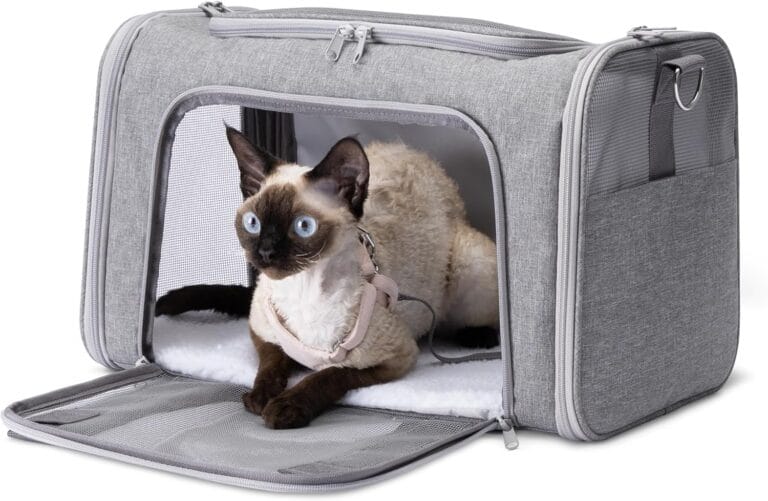 Amazon Basics Soft Cat & Dog Carrier with Adjustable Shoulder Strap, Airline-Approved, Foldable and Portable Design, Mesh Ventilation