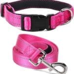 Soft Neoprene Padded Dog Collar and Leash Set for Small Medium Large Dogs, Reflective Durable Nylon Dog Collar with 5ft Leash Easy for Walking, Hot Pink,Neck fit 10.5-15.5