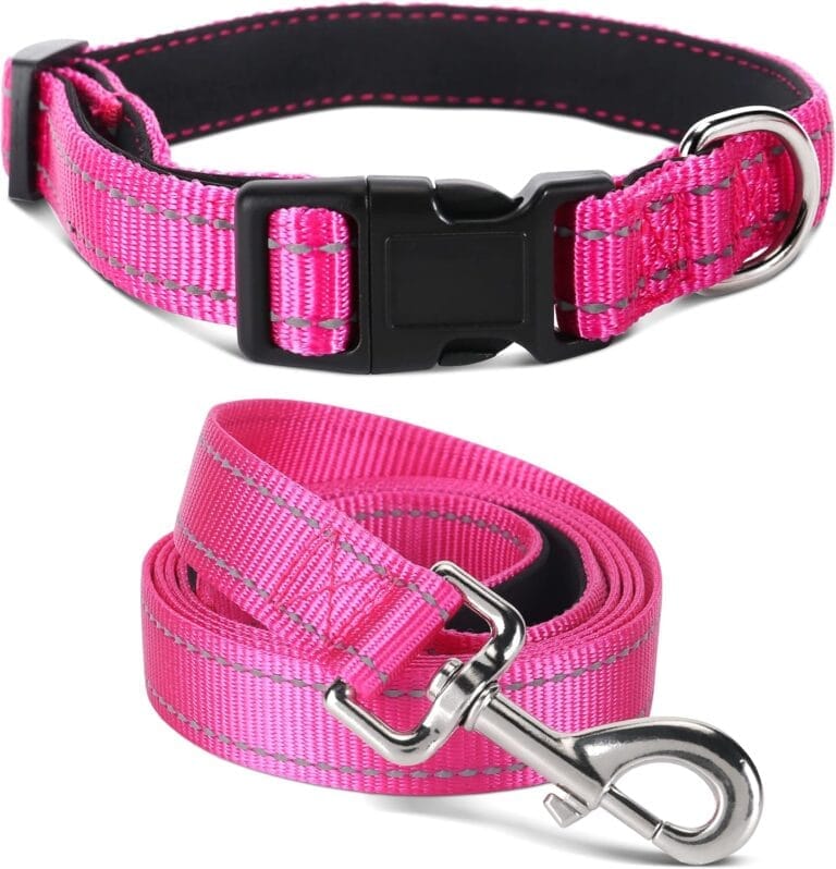 Soft Neoprene Padded Dog Collar and Leash Set for Small Medium Large Dogs, Reflective Durable Nylon Dog Collar with 5ft Leash Easy for Walking, Hot Pink,Neck fit 10.5-15.5