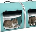 PawHut 39" Portable Soft-Sided Cat Carrier, Cat Kennel, Travel Dog Crate with Divider, Two Compartments, Soft Cushions & Storage Bag, Easy to Fold, Green