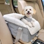 Center Console Dog Car Seat for Small Dogs Under 12 lbs  Secure Booster Seat with Safety Tether, Fits Most Cars & SUVs, Soft Washable Cushion, Portable Carrier Ideal for Pet Travel