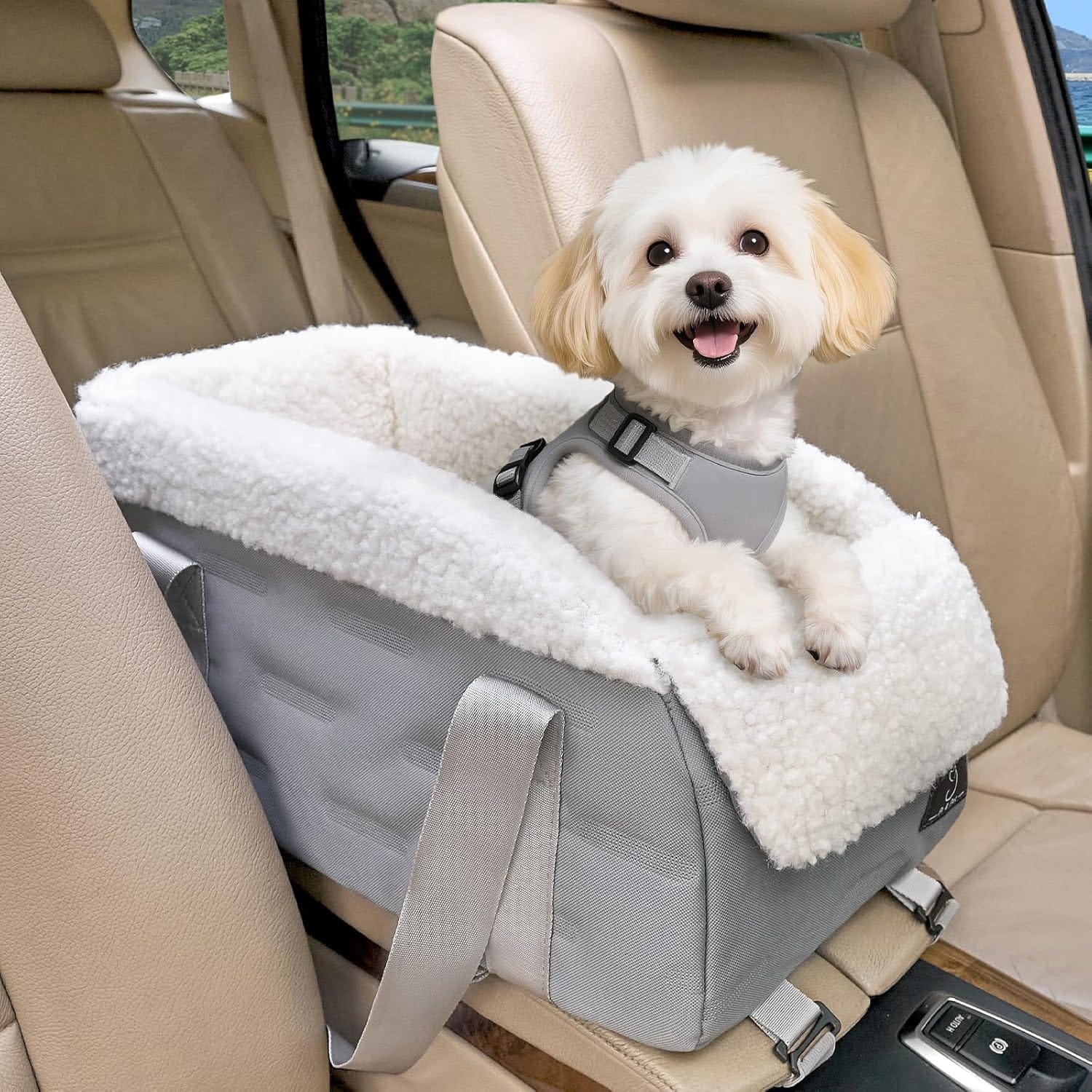 Center Console Dog Car Seat for Small Dogs Under 12 lbs Secure Booster Seat with Safety Tether, Fits Most Cars & SUVs, Soft Washable Cushion, Portable Carrier Ideal for Pet Travel Center Console Dog Car Seat for Small Dogs Under 12 lbs Secure Booster Seat with Safety Tether, Fits Most Cars & SUVs, Soft Washable Cushion, Portable Carrier Ideal for Pet Travel
