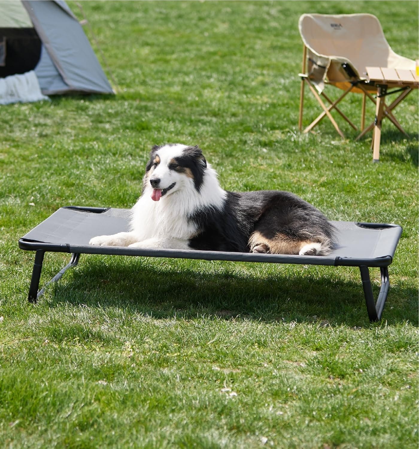 Made4Pets Outdoor Elevated Dog Bed for Large Dogs - Cooling Raised Pet Cot with Skid-Resistant Feet, Tool-Free Setup, Chew-Resistant Frame, Washable Mesh Hammock, Indoor & Outdoor Use, 42"x28", Gray Made4Pets Outdoor Elevated Dog Bed for Large Dogs - Cooling Raised Pet Cot with Skid-Resistant Feet, Tool-Free Setup, Chew-Resistant Frame, Washable Mesh Hammock, Indoor & Outdoor Use, 42"x28", Gray