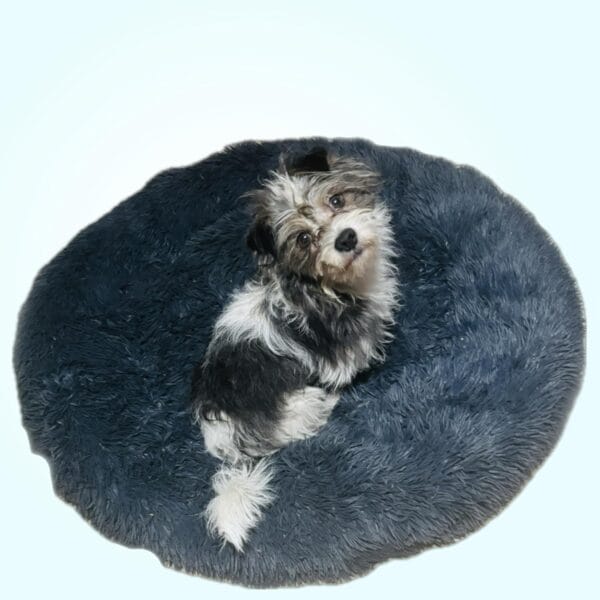 Round Soft Plush Donut Dog Bed Cozy Machine Washable Warm & Therapetic, Dark Smokey Gray Large, 48 inches (120 cm)