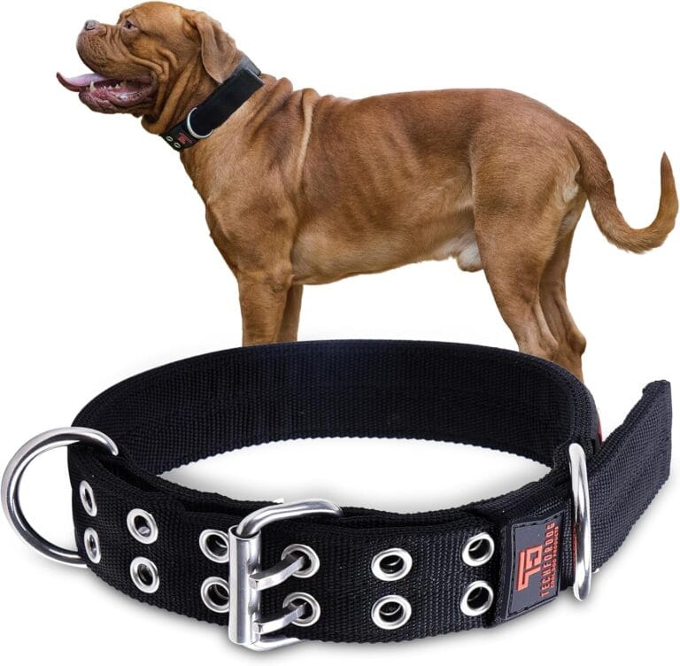 Heavy Duty Dog Collar - Tactical Metal Buckle for Large Dogs - 1.57" Wide for Strong Pullers with Handle, Black. Extra Control for Large Dogs