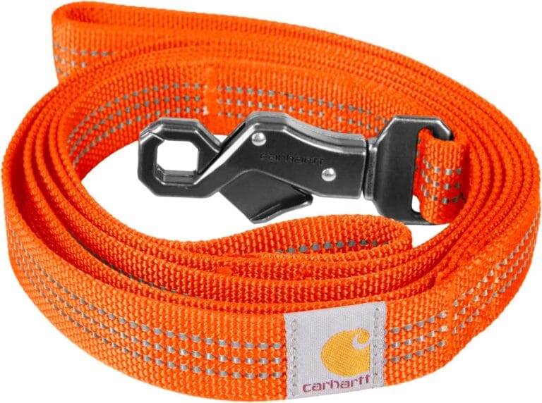 Carhartt Gear P0000570 Dual Handle Dog Leash Large Hunter Orange
