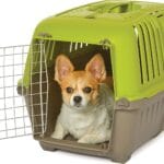 MidWest Homes for Pets Spree Travel Carrier  Hard-Sided Dog & Cat Carrier, Small Pet Travel Crate with Handle, Ventilated Design, Easy Assembly, 24-Inch, Green