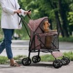 Dog Stroller for Small Dogs 10 lbs -22lbs Puppy Stroller Medium Dog Wagon Small Pet Stroller for Cats, Cat Strollers for 2 Cats, Rear Storage, Leopard Print