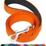 FunTags 6FT Reflective Dog Leash with Soft Padded Handle for Training,Walking Lead for Large & Medium Dog,1 Inch Wide,Orange