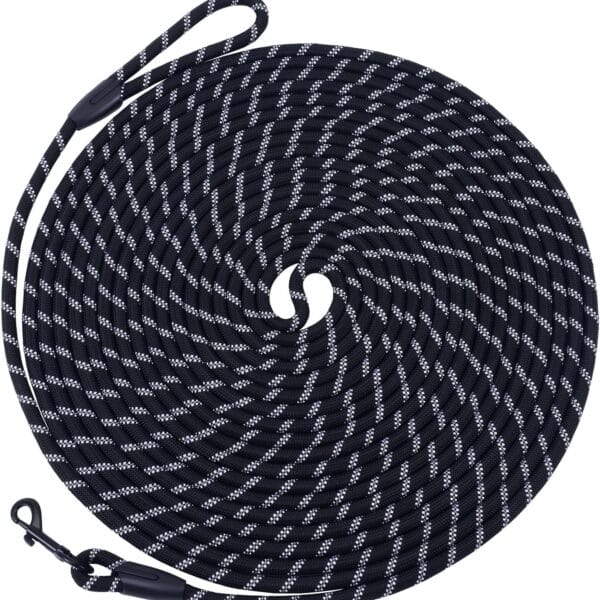 Long Dog Leash for Training 15Ft-Reflective Nylon Rope with Swivel Hook-Recall Agility Lead for Large Small Medium Dogs Outside Walking Hiking-Black