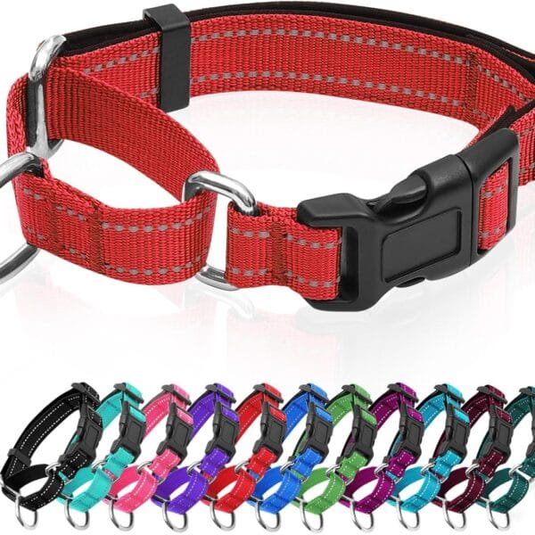 Reflective Martingale Dog Collars. Dog Collar with Quick Release Buckle. Adjustable Soft Padded Breathable Nylon Pet Collar Suitable for Puppies for Small Medium Large Dogs.