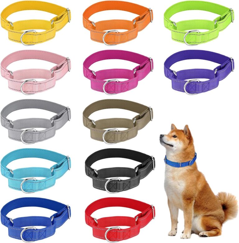 12 Pcs Martingale Collar for Medium Dogs Reflective Dog Collar with Durable Metal Buckle Adjustable Nylon Pet Prevent Slipping Out for Pupplies, 12 Colors