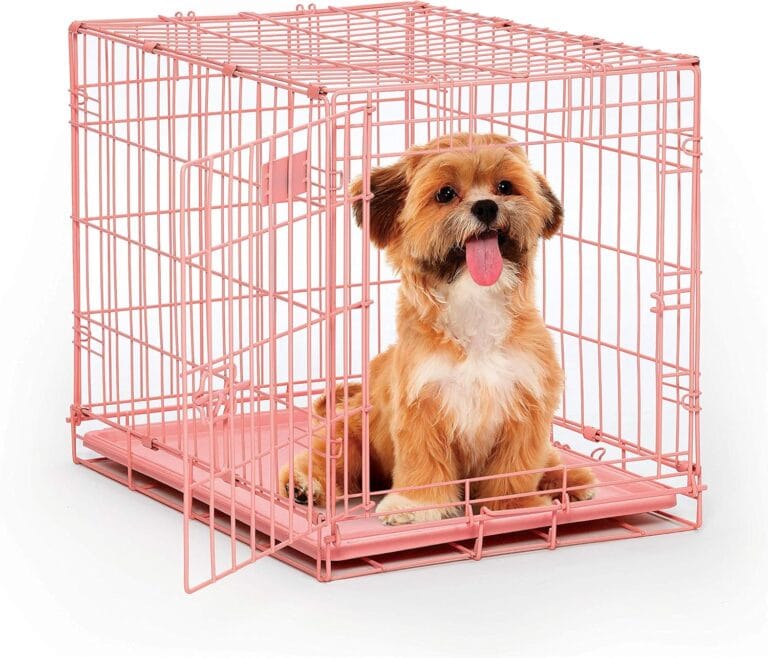 MidWest Homes for Pets 24-Inch Pink Fashion iCrate Single Door Folding Dog Crate, Enhanced Security, Includes Leak-Proof Pan, Divider Panel, Handle, Rubber Feet