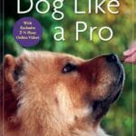 Train Your Dog Like a Pro