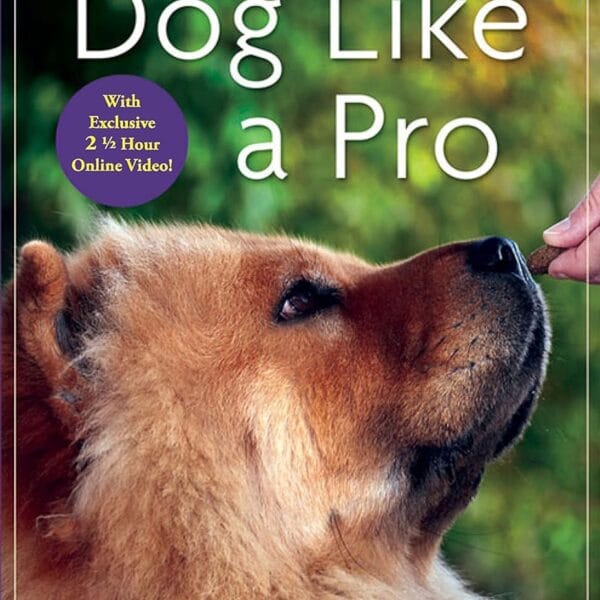Train Your Dog Like a Pro
