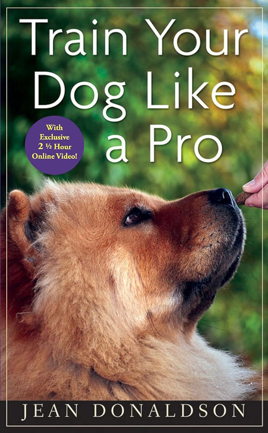 Train Your Dog Like a Pro Train Your Dog Like a Pro