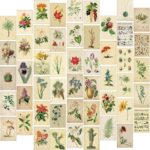 Vintage Botanical Wall Art Prints, 50pcs Posters of Cottagecore Decor for Wall, Cottagecore Room Decor Aesthetic, Vintage Flowers Wall Decor