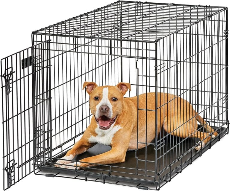 MidWest Homes for Pets Intermediate LifeStages Single Door 36-Inch Folding Dog Crate, Enhanced Security, Includes Leak-Proof Pan, Divider Panel, Handle, Rubber Feet
