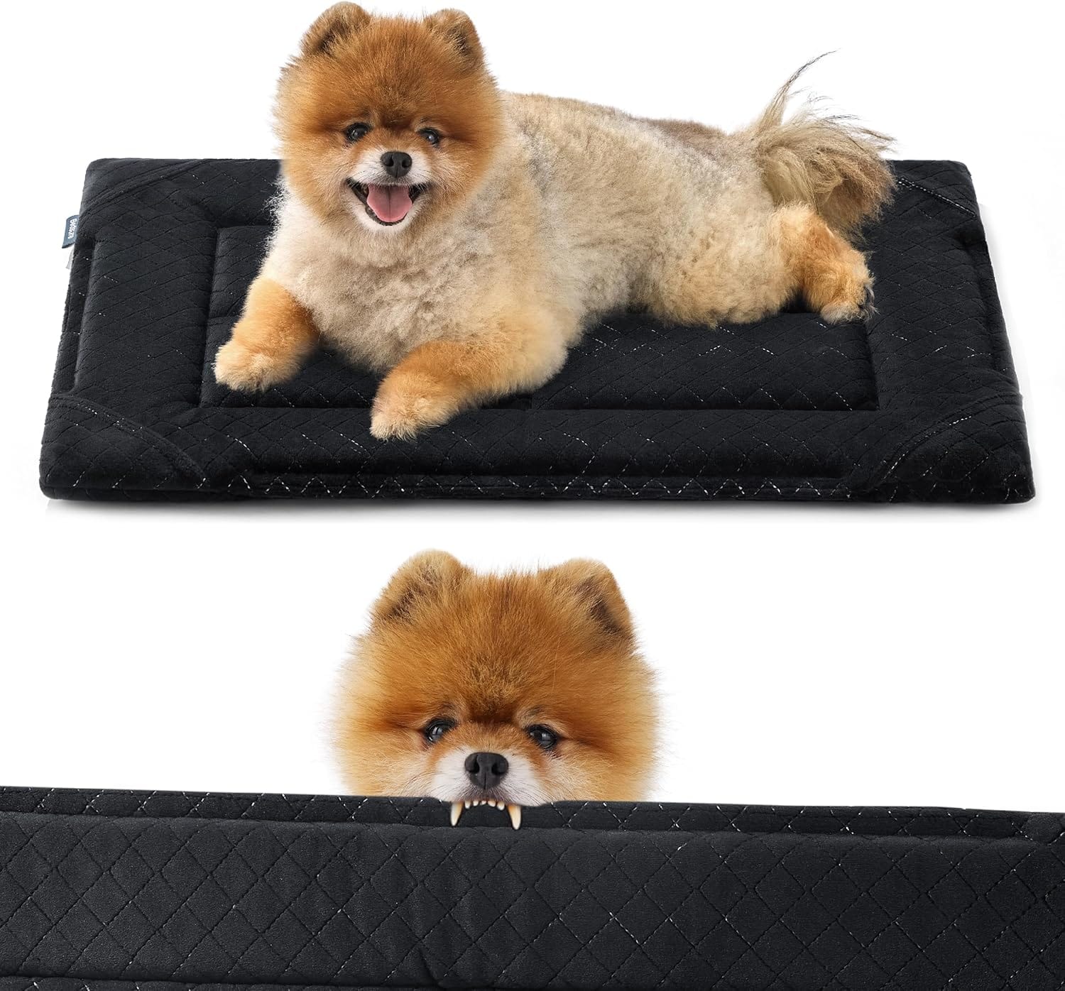 Bedsure Chew Proof Dog Bed for Small Dogs Machine Washable Dog Crate Pad Durable Kennel Pad for Chewers, Black Bedsure Chew Proof Dog Bed for Small Dogs Machine Washable Dog Crate Pad Durable Kennel Pad for Chewers, Black