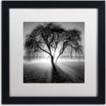 Framed Wall Art - Moises Levy 'Lightning Tree I' Wall Decor with Matted Frame by Trademark Fine Art