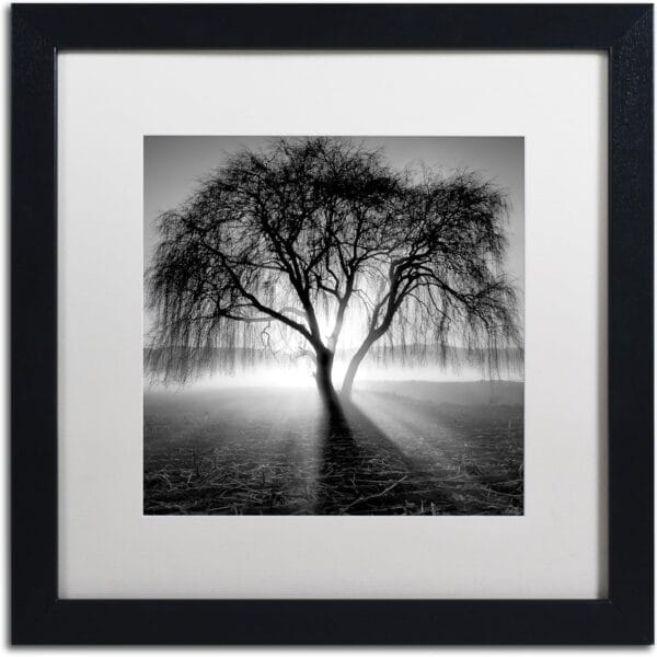 Framed Wall Art - Moises Levy 'Lightning Tree I' Wall Decor with Matted Frame by Trademark Fine Art