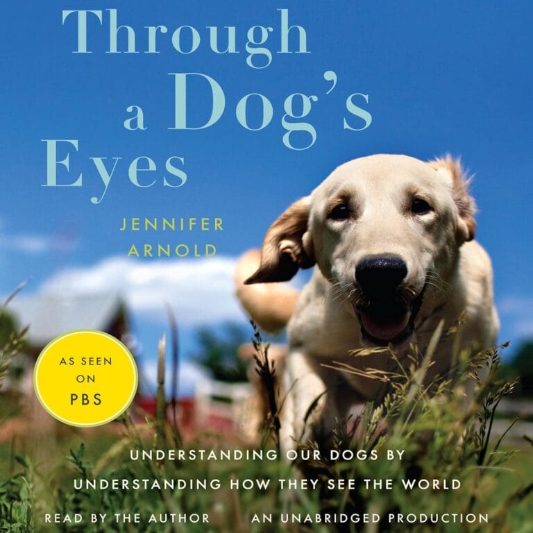 Through a Dog's Eyes