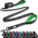 Black Rhino 6 ft Long Heavy Duty Dog Leash with Traffic Handle for Medium and Large Dogs - Padded Neoprene Dual Handles, Bag and Clip - Reflective, Durable, and Weather Resistant - Green