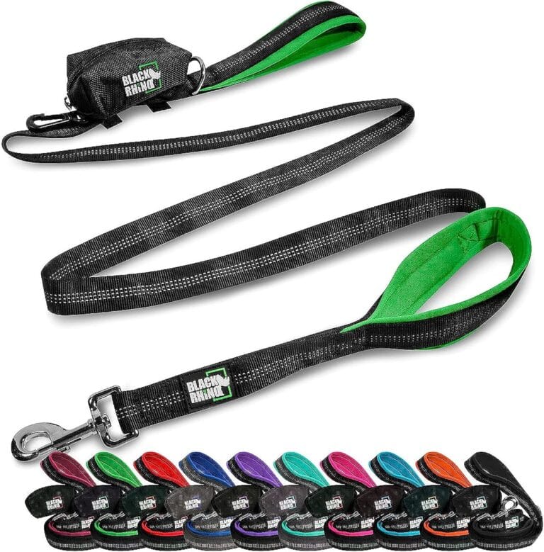 Black Rhino 6 ft Long Heavy Duty Dog Leash with Traffic Handle for Medium and Large Dogs - Padded Neoprene Dual Handles, Bag and Clip - Reflective, Durable, and Weather Resistant - Green