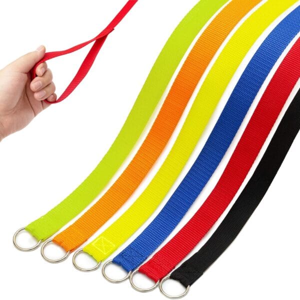 Slip Lead Dog Leash, 6 pcs Short Pet Leashes Slip Leads for Dogs Cats Grooming Shelter Rescues Walking Training,etc., 6 FT Strong Pulling Dog Leash with O-Ring