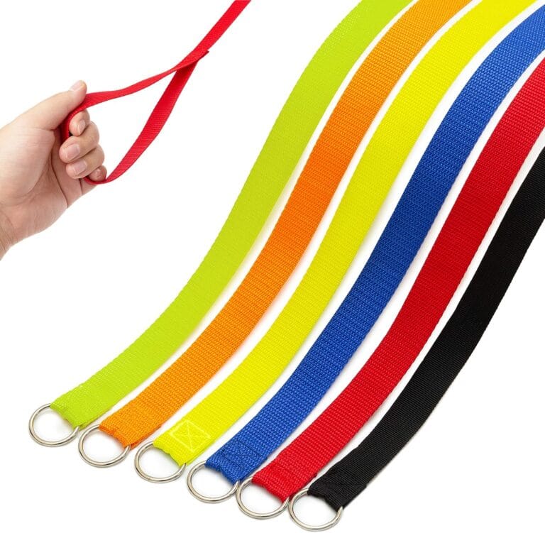 Slip Lead Dog Leash, 6 pcs Short Pet Leashes Slip Leads for Dogs Cats Grooming Shelter Rescues Walking Training,etc., 6 FT Strong Pulling Dog Leash with O-Ring