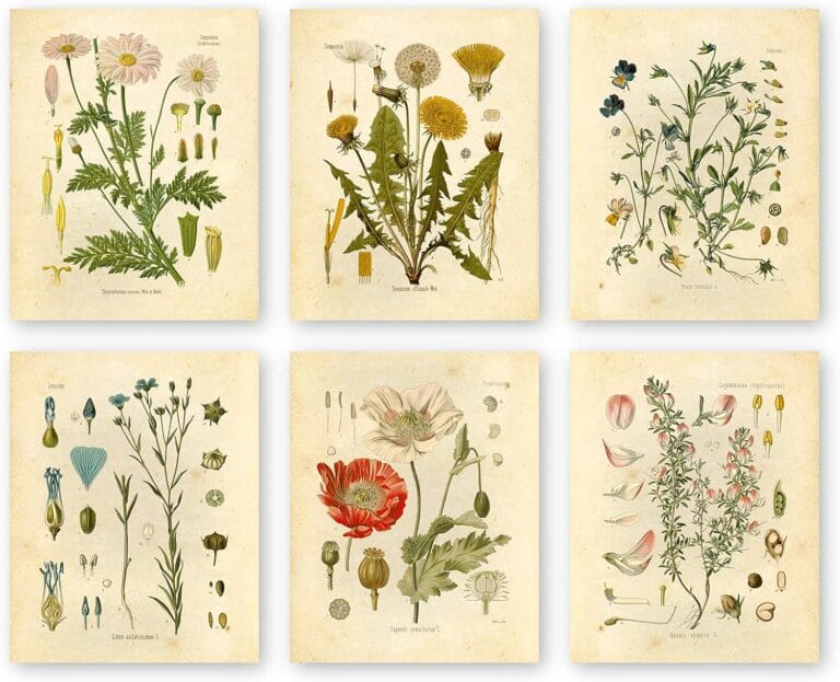 Ink Inc. Botanical Prints Wildflower Prints Floral Wall Art - Set of 6-8x10 - Unframed