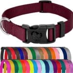 Country Brook Petz - Everyday Nylon Dog Collar for Large, Medium, and Small Dogs and Puppies - for Everyday Use in 10+ Warm Colors (Large, 1 Inch Wide, Burgundy)