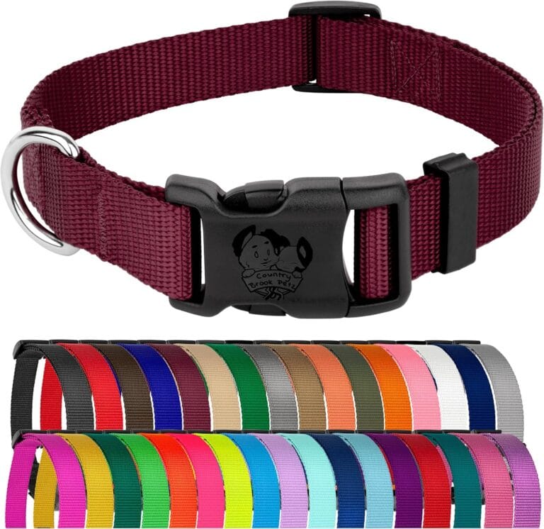 Country Brook Petz - Everyday Nylon Dog Collar for Large, Medium, and Small Dogs and Puppies - for Everyday Use in 10+ Warm Colors (Large, 1 Inch Wide, Burgundy)